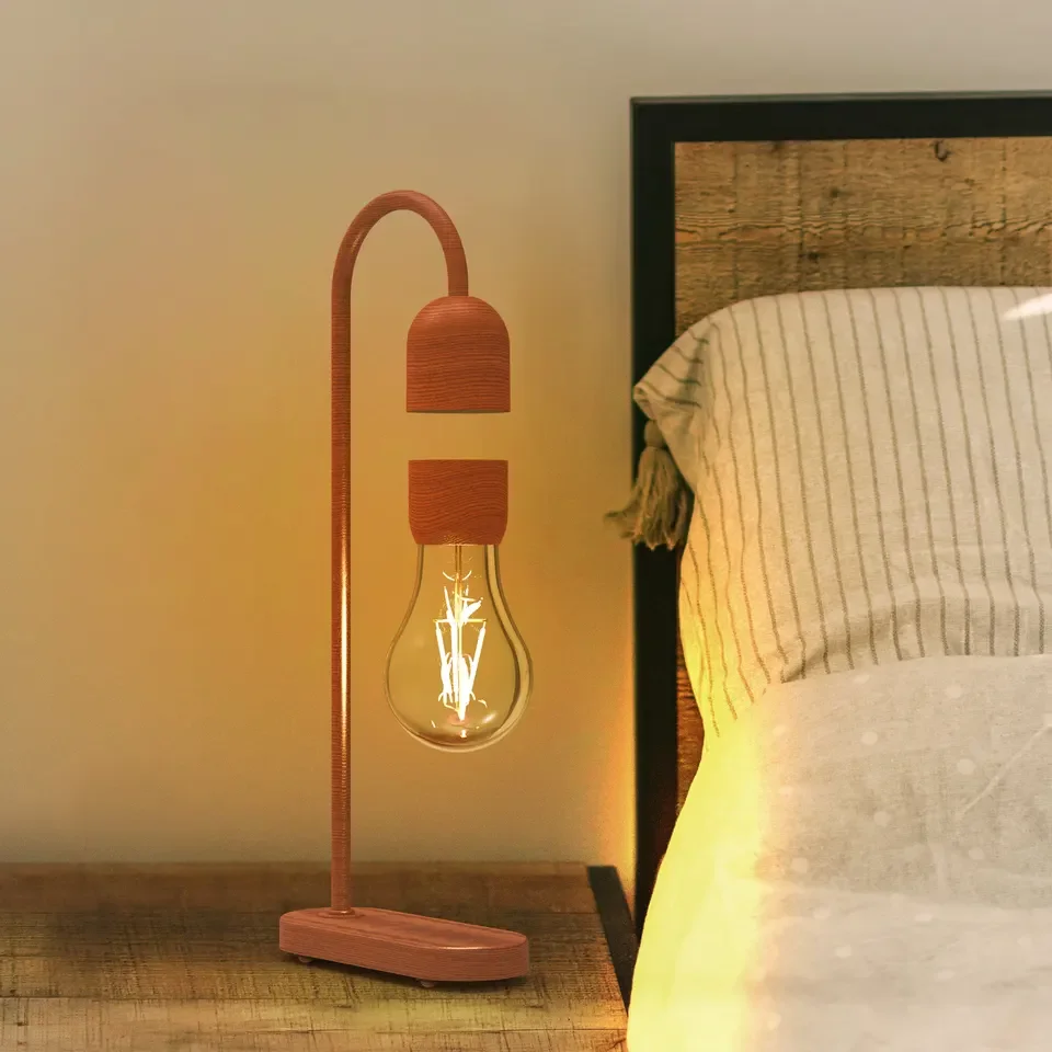 Рисунок 5 - Магнитная левитация