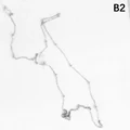 B2