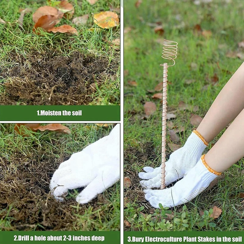 6pcs Electroculture Plant Stakes Gardening Copper Coil Antennas For Growing Garden Plants Vegetables Optional 3 Piece Set Tools