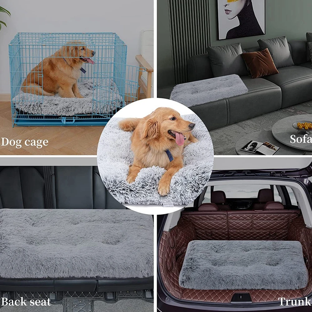 S05c2506b19cd4653ba399d3b2b67a844K