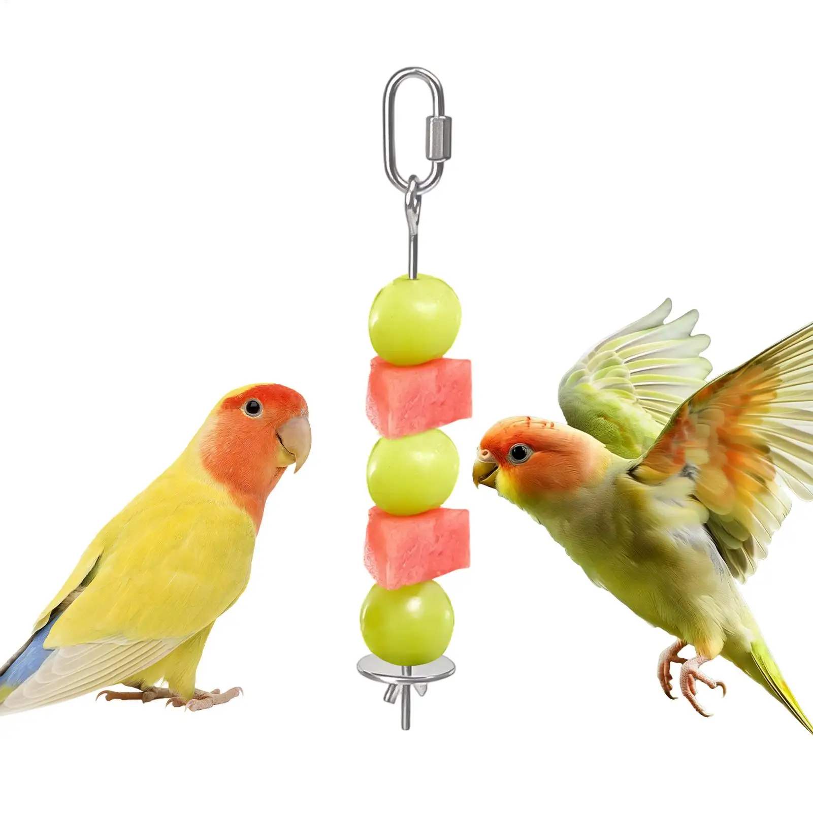 سيخ طعام الطيور من الفولاذ المقاوم للصدأ | متجر ال...