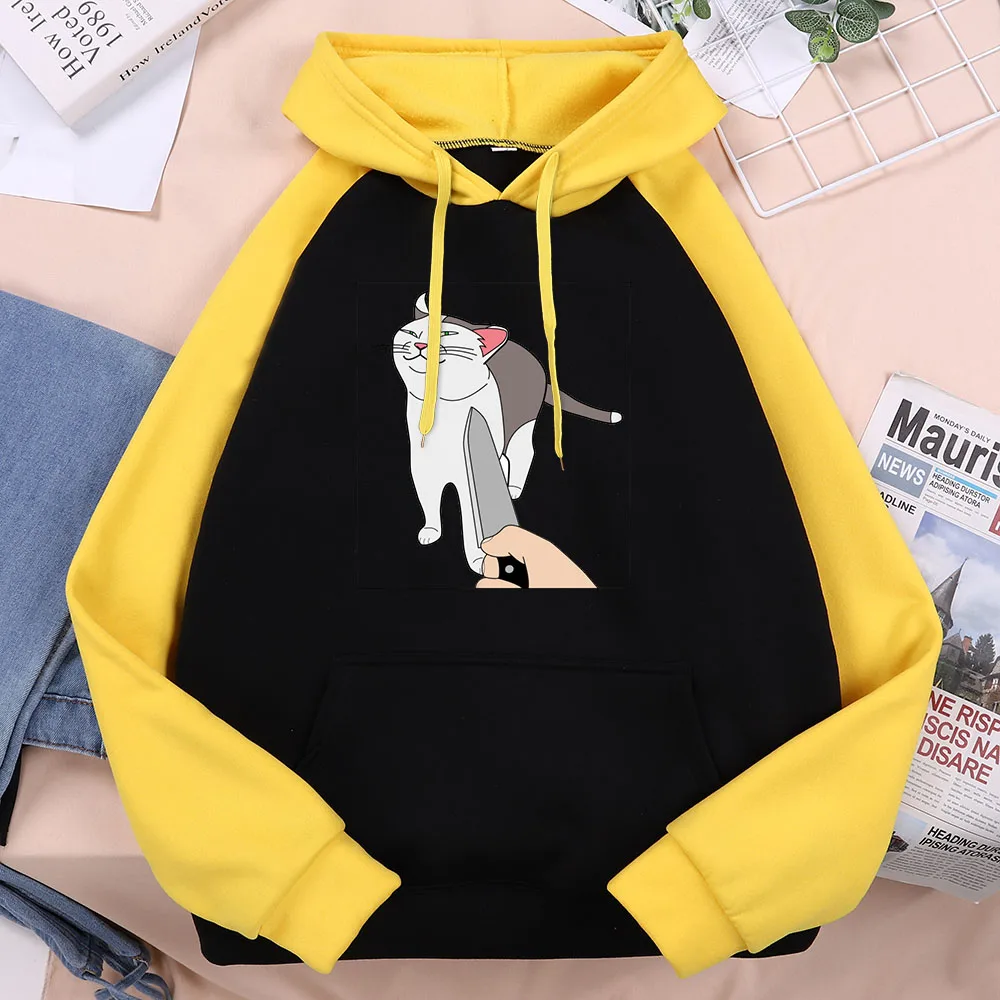 

Smug Knife Cat Meme Not Afraid Of Threats Printed Male Raglan Pullover Hip Hop Fashion Street Sweatshirts Autumn Warm Men Hoodie