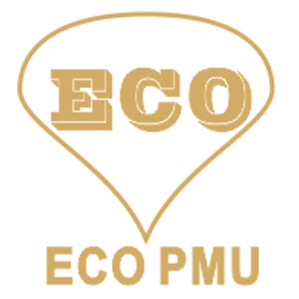 ECO PMU Cosmetic Tattoo Store