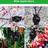 Plant Rooting Ball High Pressure Graft Breeding Case Nursery Box Propagation Plant Root Pot Garden Accessories 3