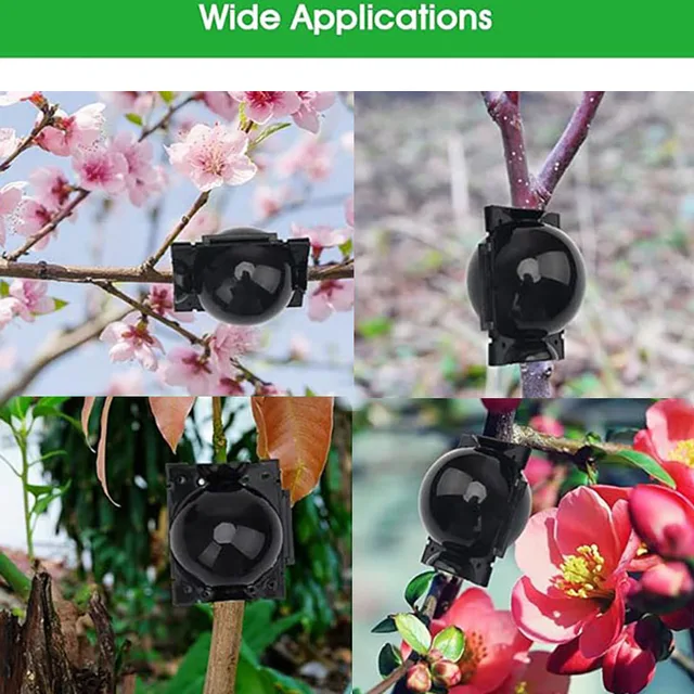 Plant Rooting Ball High Pressure Graft Breeding Case Nursery Box Propagation Plant Root Pot Garden Accessories 3