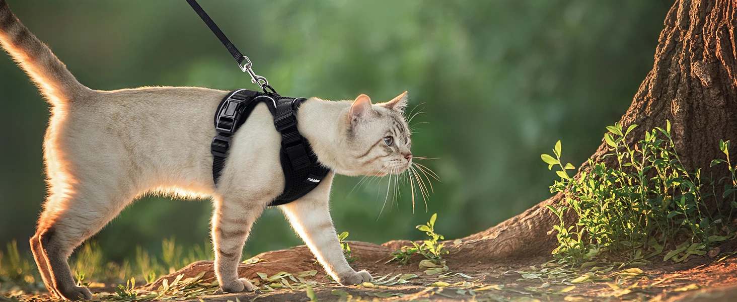Escape Proof Cat Harness and Leash - Adjustable Soft Vest for Walking