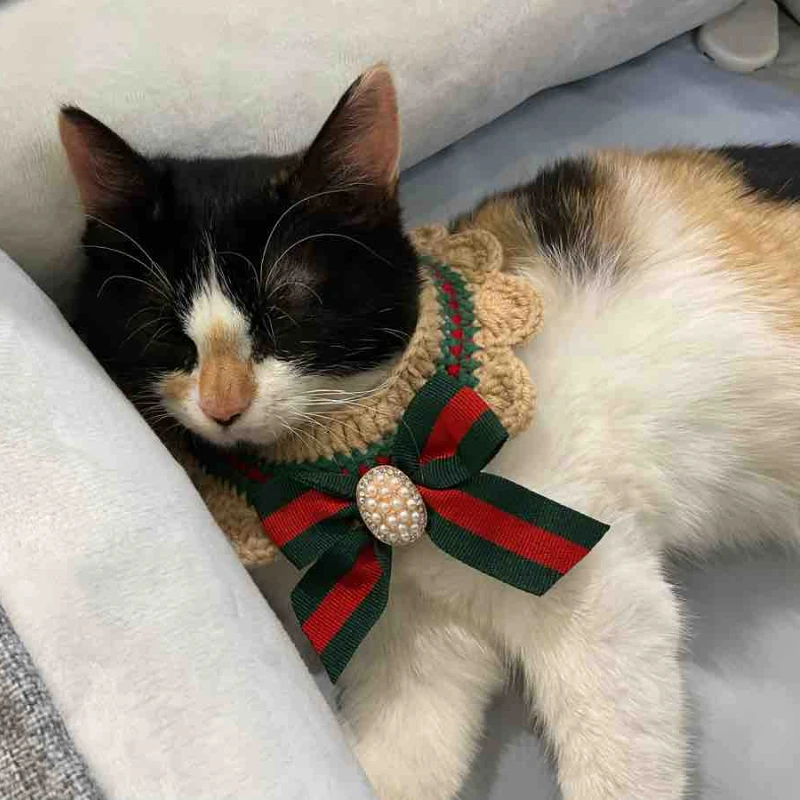 Original Pet Knitted Cat Crochet Bandana Dog Cat Necklace Scarf Collar Cute  Jewelry Cats Accessories Pets Cat Accessories Pet _ - AliExpress Mobile