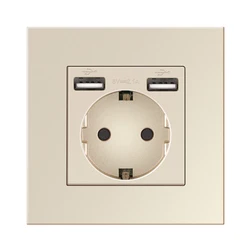 Enhanced Wall USB Plug with Dual EU Standard 16A AC Sockets - Modern Design 110V - 250V Panel Socket - USB gold