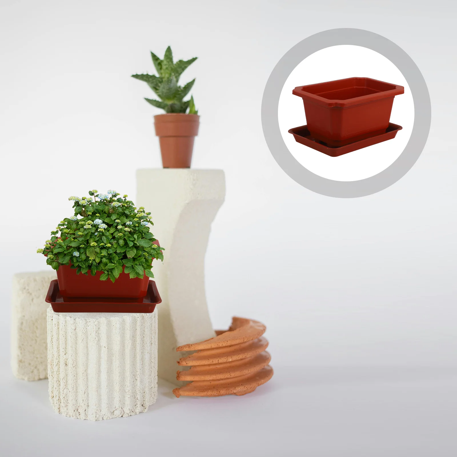 

5 Sets Flowerpot Large Bonsai Tree Household Planter Pots for Plants Small Plastic Planting