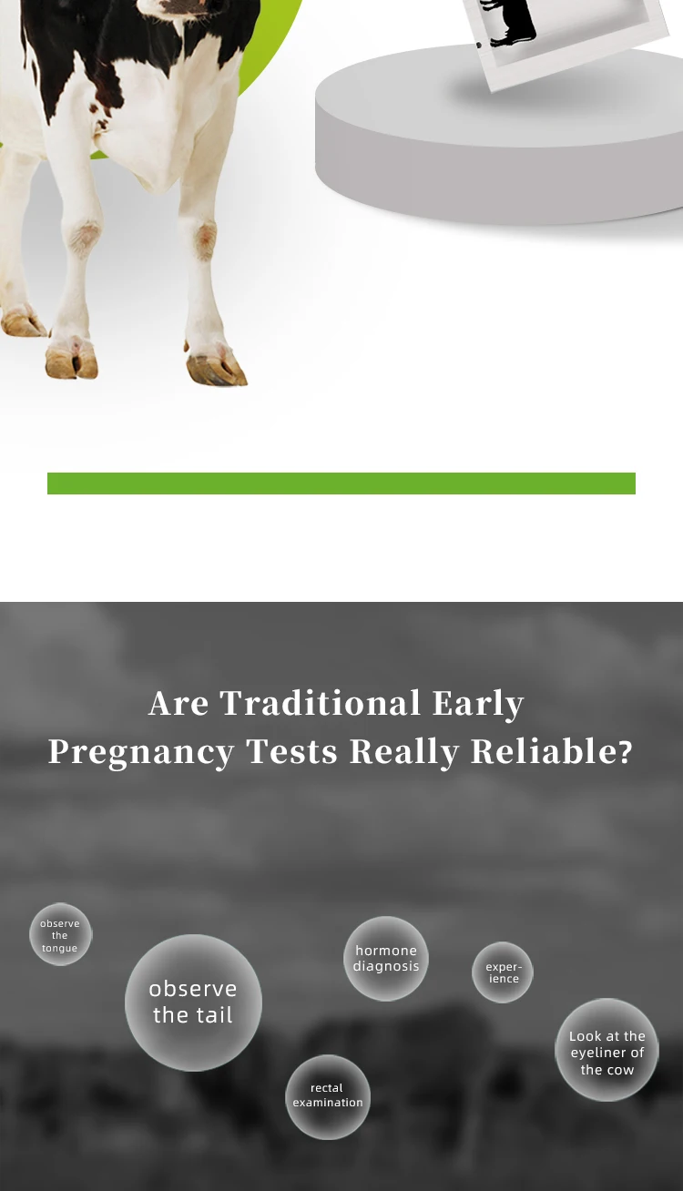 5 шт., бумажный тест на раннюю беременность для коровы, тест на крови ...
