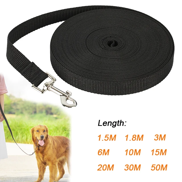 Long Nylon Dog Leash 1