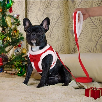 Velvet Harness With Bowtie