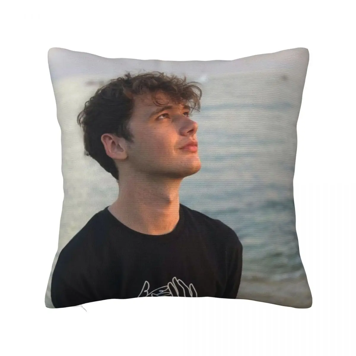 

Wilbur Soot Throw Pillow Decorative Cushion Pillow Covers Decorative