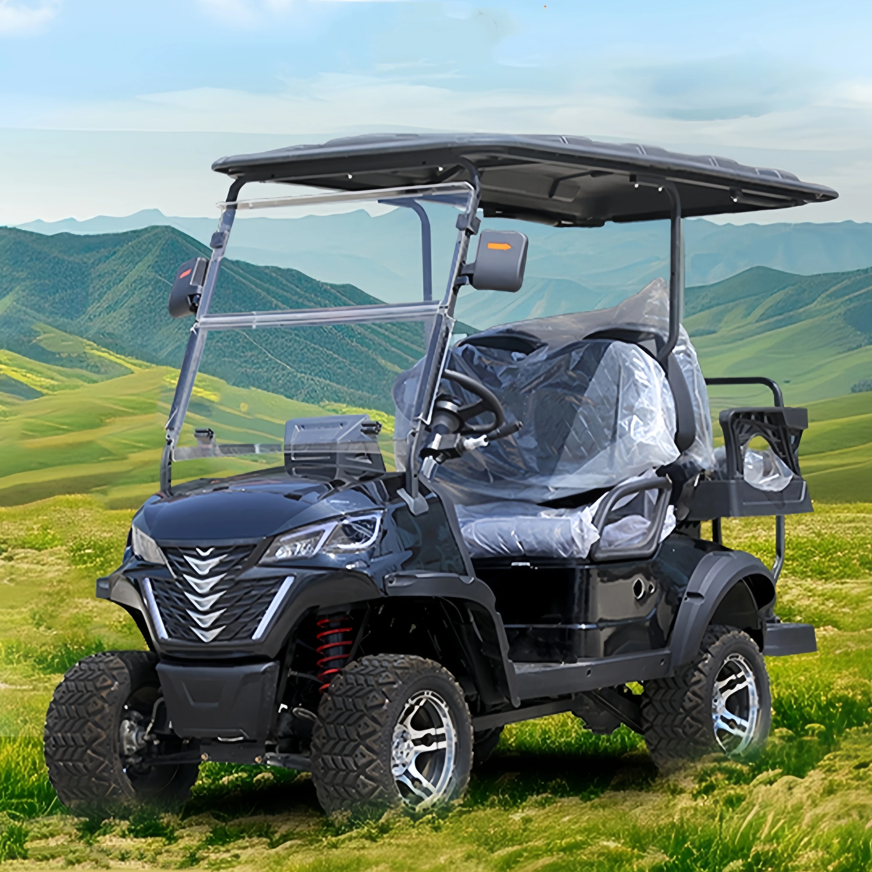 2 4 6 Seat Electric Lithium Battery Golf Cart with luxury seat Hunting Golf Buggy car with DOT CE EEC