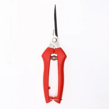 Sharp Stainless Steel Pruning Shears 1