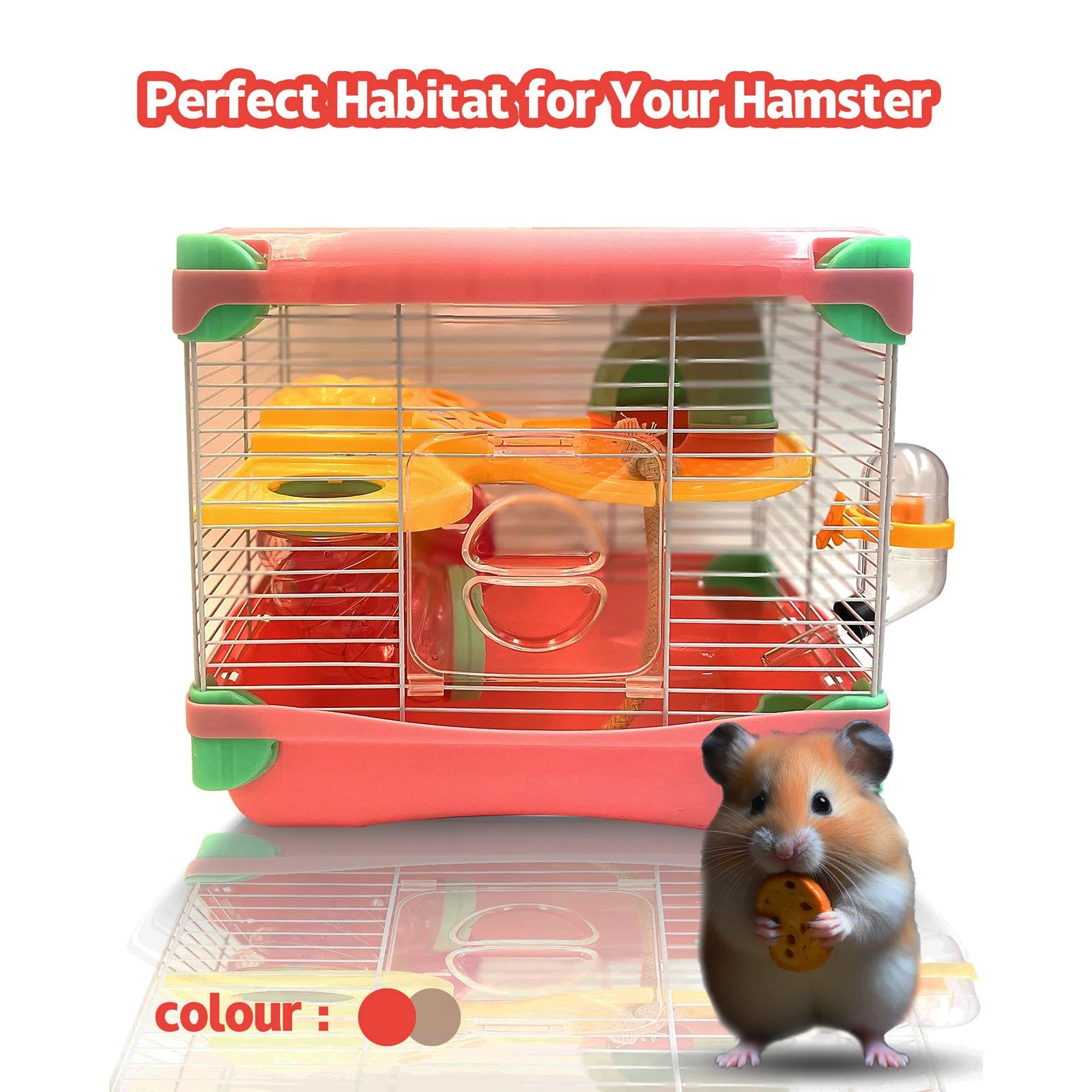 Easy-Start Hamster Haven: 2-Layer Transparent Cage with Bonus Accessories-Perfect for New Pet Owners & Petite Pals up to 3.5 "