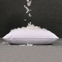 Down Pillow 100% White Goose Down/Feather Pillow Five-star Hotel Goose Feather Pillows Single Healthy Pillow Orthopedic Pillows 1