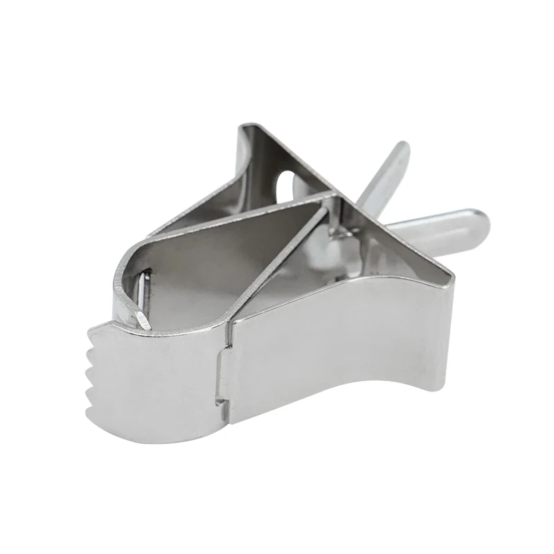 Parrot Feeder Stainless Steel Parrot Fruit Vegetable Feeding Clip Small Animals