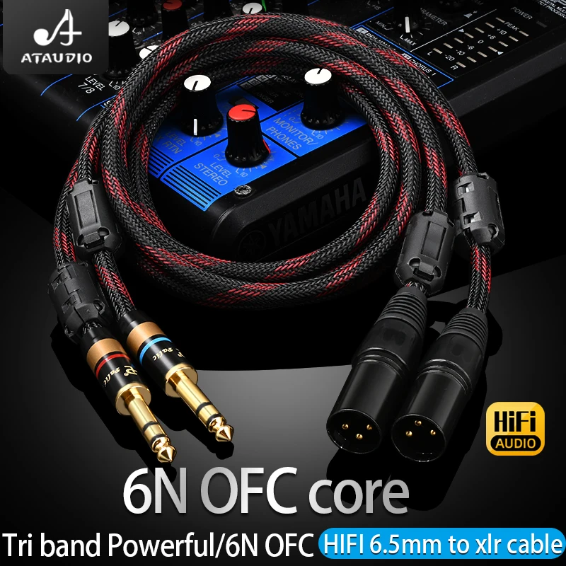 Premium High-Fidelity Dual 6.5mm to XLR Audio Cable with 6N OFC for Amplifiers and Sound Systems