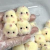 2Pcs Chicken Pinch Music Decompression Toys Mini Finger Sensory Pinch Slow Rebound Mud Feel Simulation Animal Chickens Pendant 2