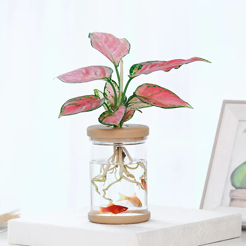Transparent Hydroponic Flower Pot Imitation Glass Soilless Planting Potted Green Plant Resin Flower Pot Home Vase Decor 1
