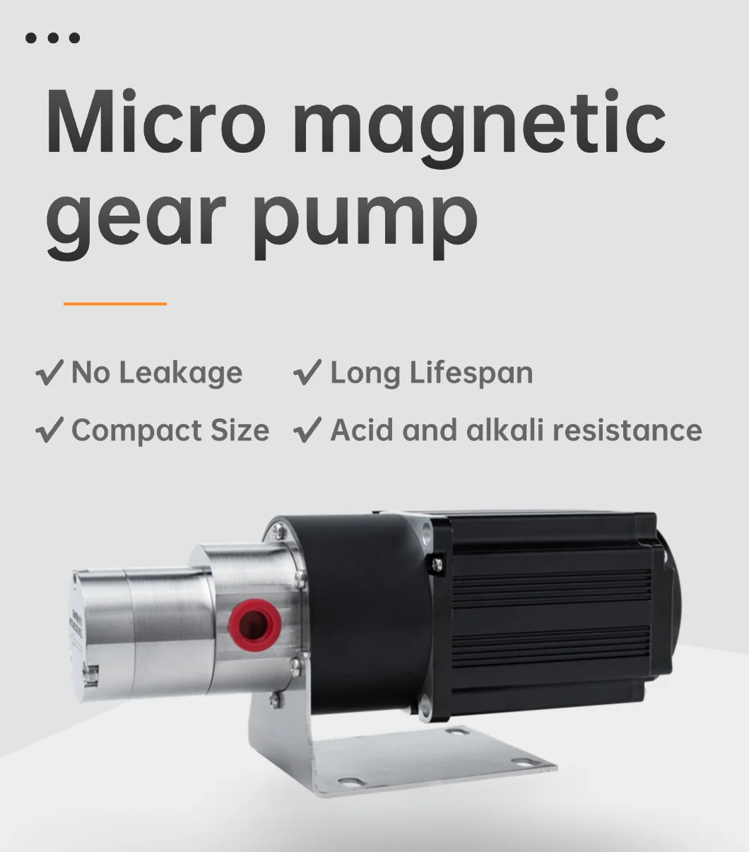 150 W Bürstenlosen Motor 316L Edelstahl Dosierung Wasser Getriebe Pumpe Dosierung Flüssigkeit Inkjet Tinte Magnetische Pumpe Getriebe Für Kaffeemaschine – Detail 1