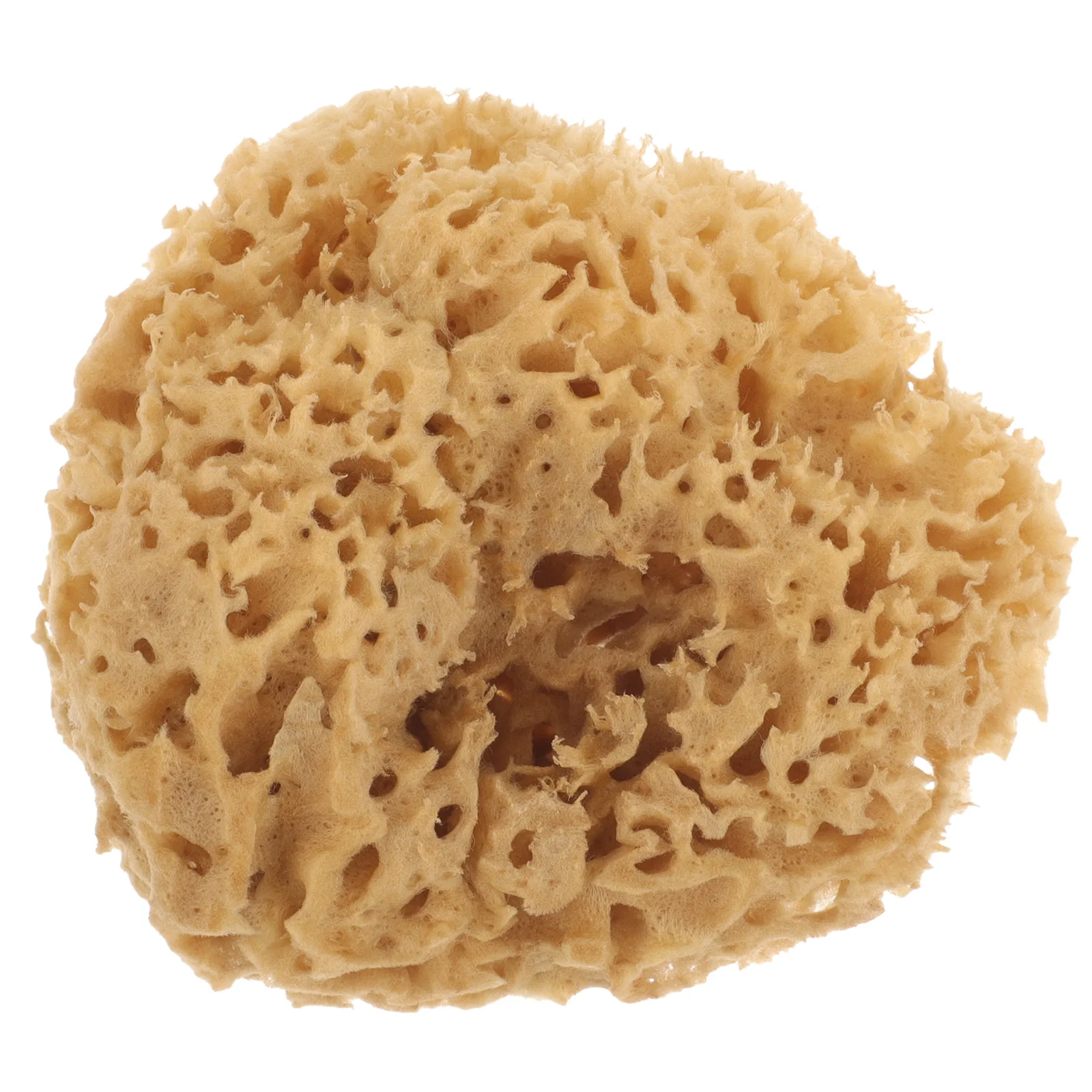 Tool Greek Natural Sponge Baby Bath Scrubber for Body Sea Sponges Bathing Shower 6