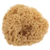 Tool Greek Natural Sponge Baby Bath Scrubber for Body Sea Sponges Bathing Shower 6