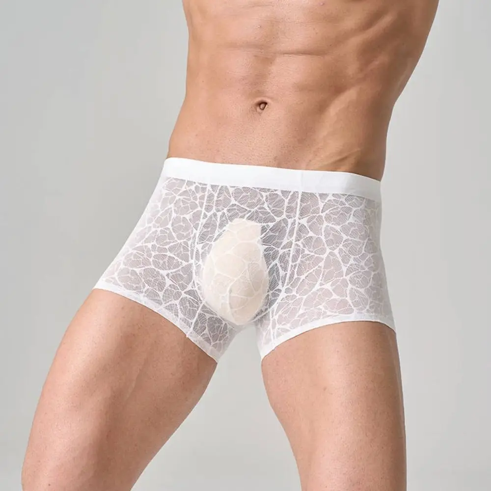 Men's Quick Dry Lace Mesh Boxer Briefs