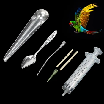 Bird Feeding Dropper 1