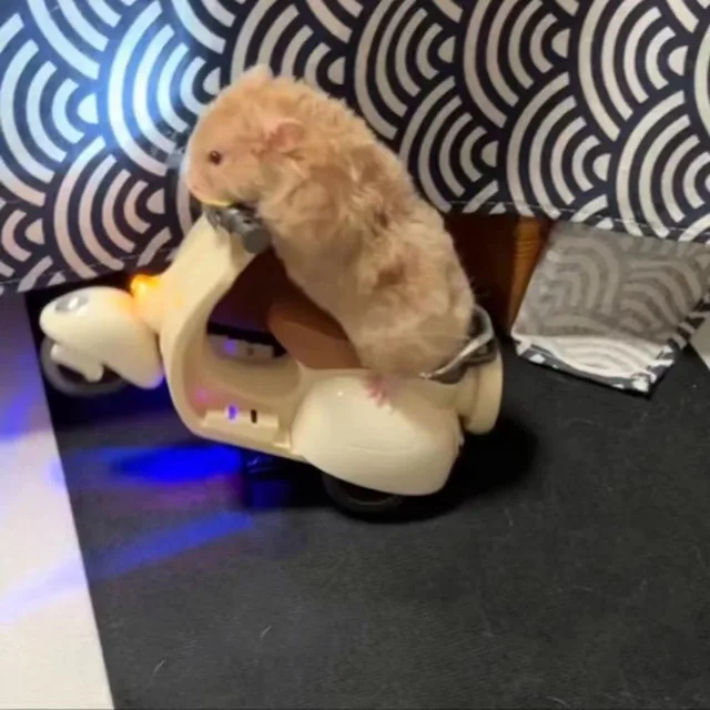 Moto Elettrica Girevole Per Criceti Con Luci E Musica | Giocattolo Acrobatico 360° Per Animaletti - Foto 8