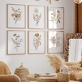 VA423-6pcs