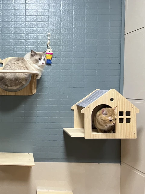 Cat Wall Climbing House Shelf Bed Wall Mounted Tree Tower Hiding House Villa Castle for Indoor Cats Accessories Sleeping 5
