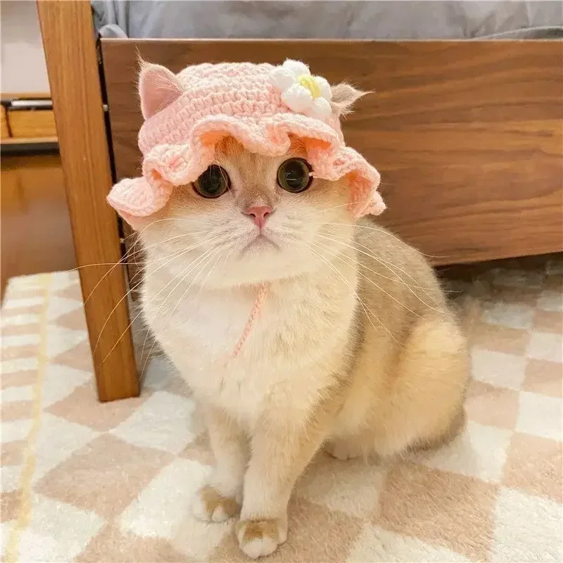 가을 겨울 고양이 모자 탄성있는 귀여운 정제된 애완동물 모자 강아지 고양이 니트 모자 파티 사진 스냅 소품 장식 고양이 악세사리