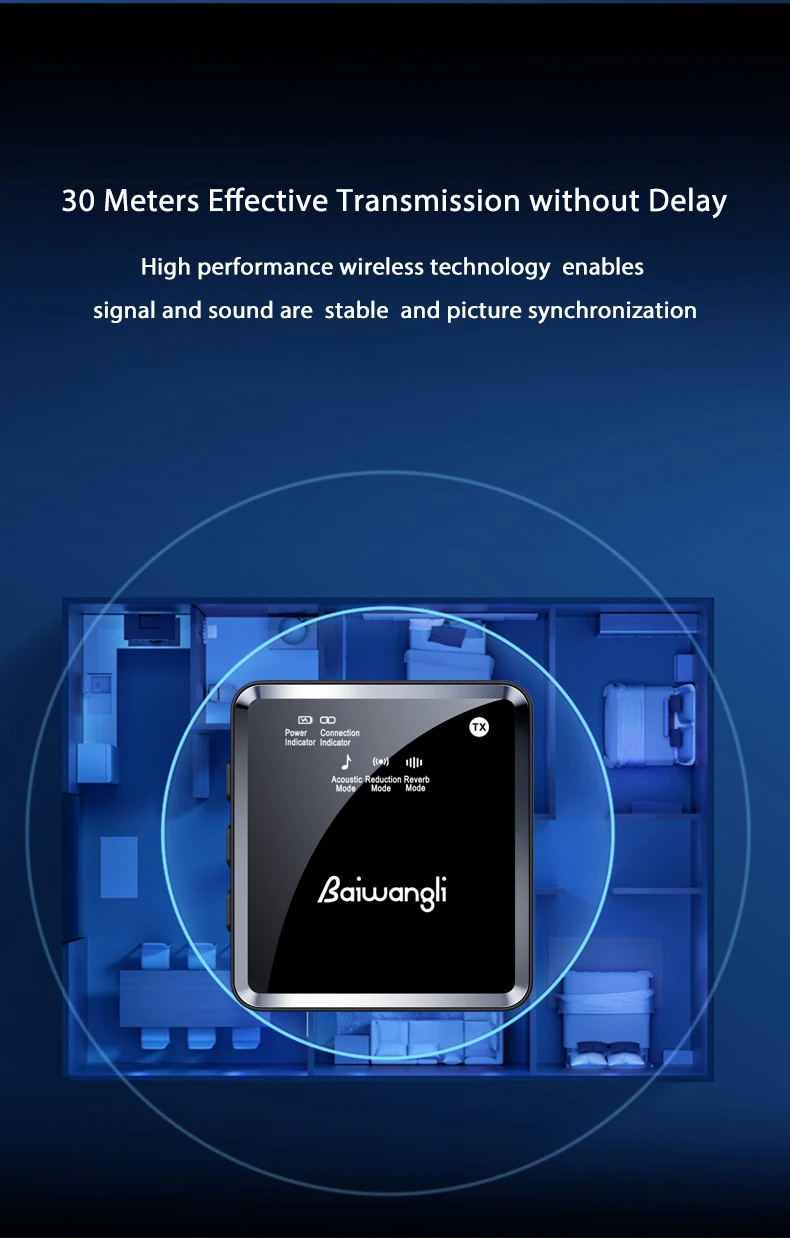 Baiwangli SX39 Dual Wireless Microphone description image 7