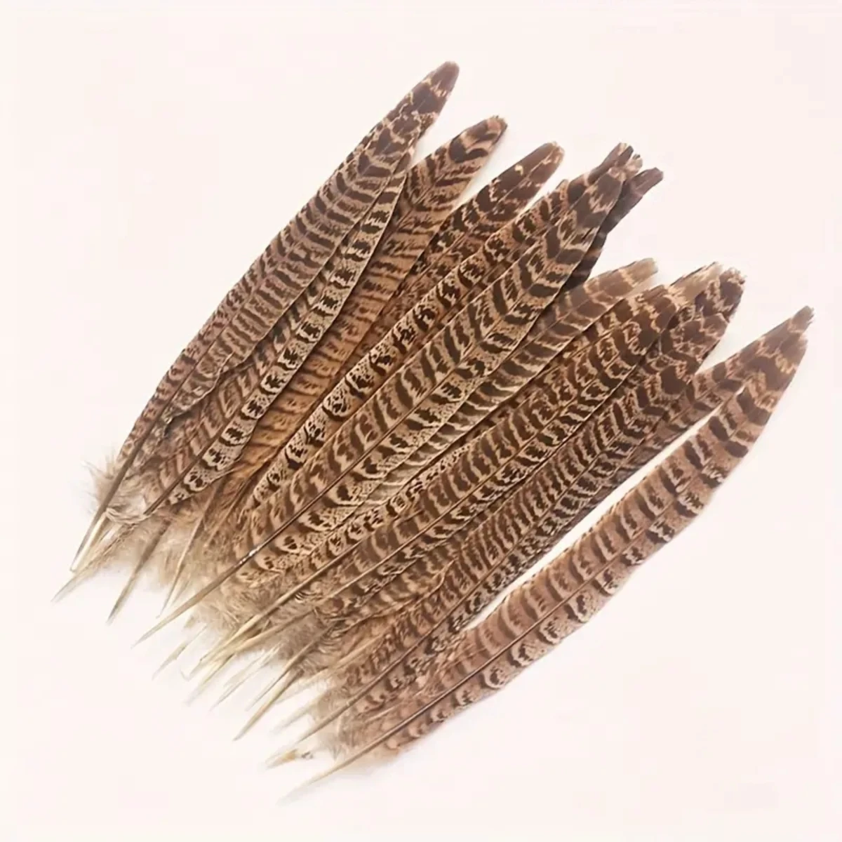 Natural Pheasant Feathers 10pcs Female Tail Feathers pheasant feathers natural feathers