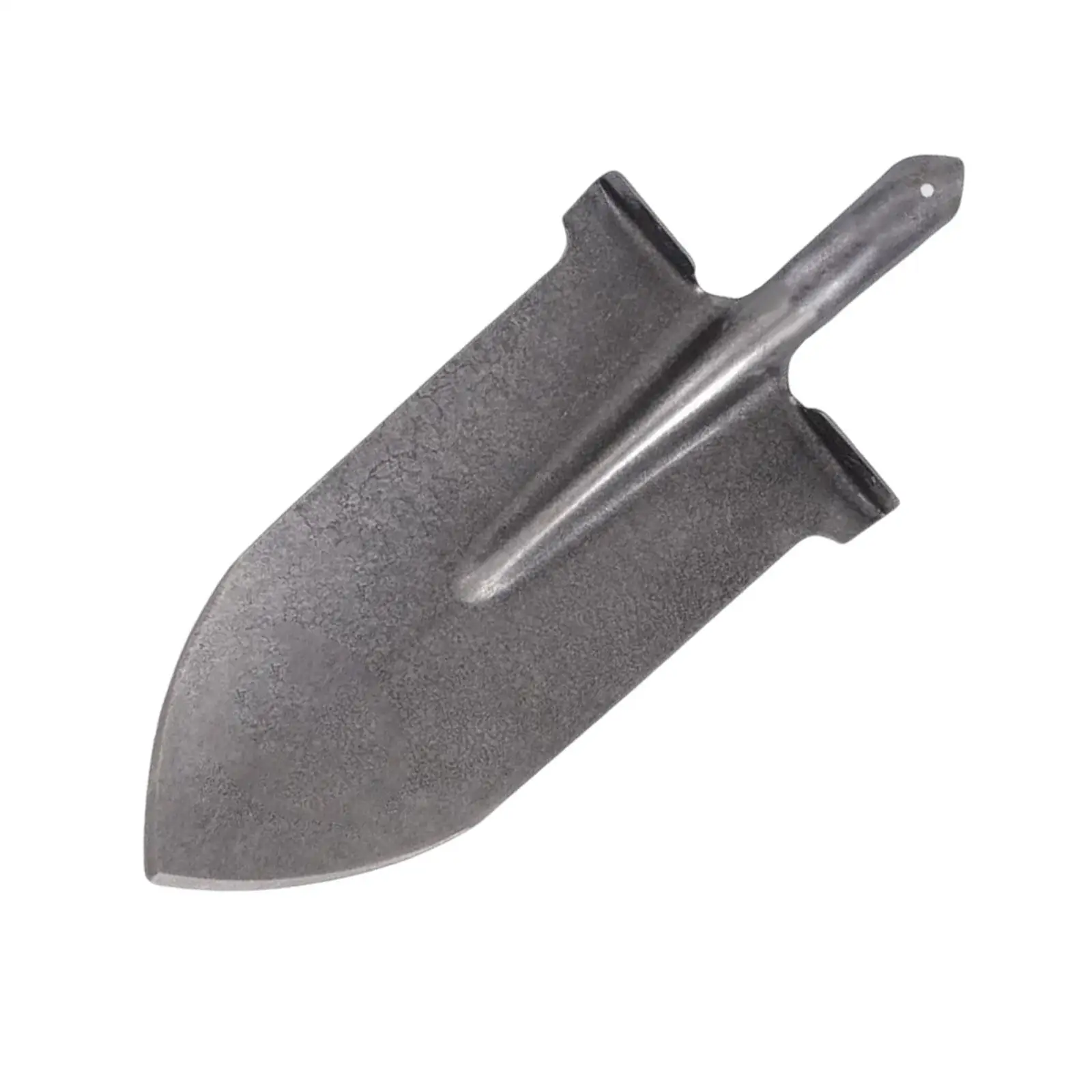 big sharp