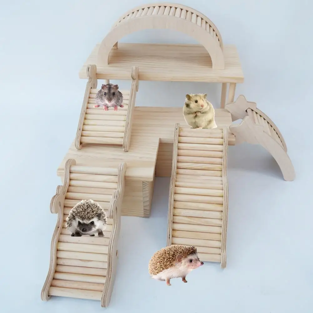 Hamster Toy Ideas