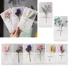 Dried Flower Greeting Cards Mother'S Day Cards Valentine'S Day Cards Birthday Cards Blessing Cards Wedding Cards Moving Gifts 1