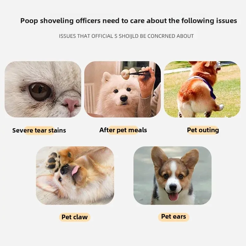 Pet Eye Cleaning Wet Towel Dog Cat Exclusive Tear Stain Removal Foot Butt Ear Cleaning No Wash Paper Towel Home Supplies