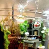 Micro Landscape Glass Bottles With Dew Collection Cover Glass Vase Landscaping Succulent Moss Bansai Landscape Glass Terrarium 6