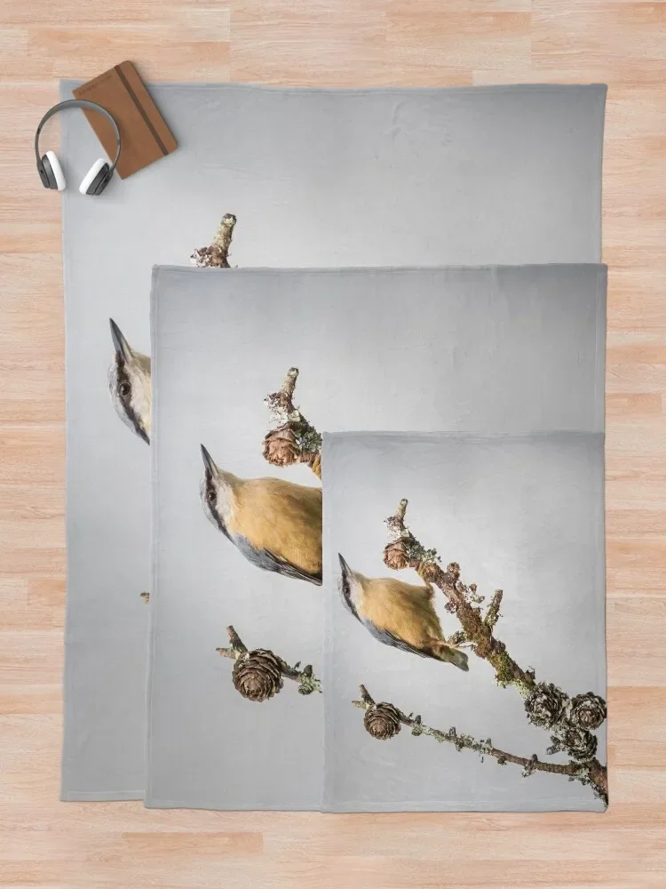 Nuthatch Throw ���, ���� ���� ħ��, ���Ÿ� �����̳� ���