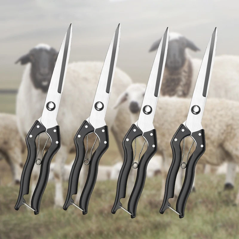 Professional Sheep Shearing Scissors Metal Nursing Scissors Safety Work Scissors Manual Tools Multifunctional Hand Pruner Tool 2