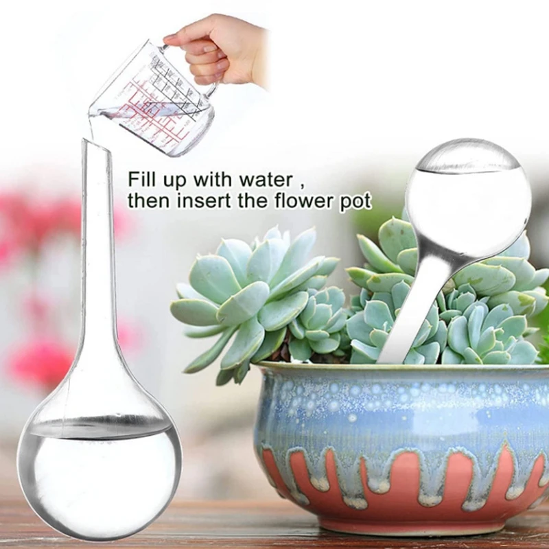 Set of 3 Clear Self-Watering Plant Globes for Garden and Indoor Flowers