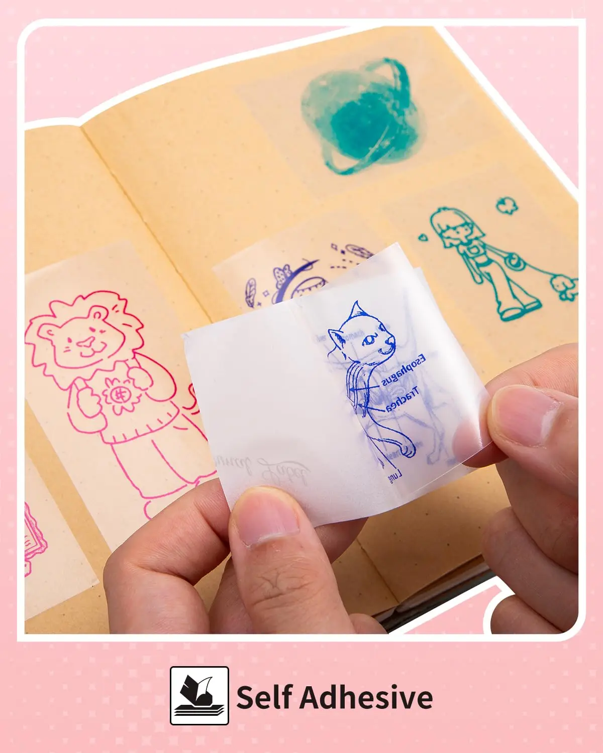 Transparente Selbstklebende Aufkleber 53mm, Passend für Mini-Thermodrucker Mehrfarbig & Transparent Kombi-Druckpapier für Fotos, Notizen – Detail 8