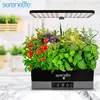 Indoor Hydroponic System with 4000K Grow Lights