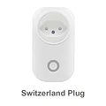 Switzerland Plug