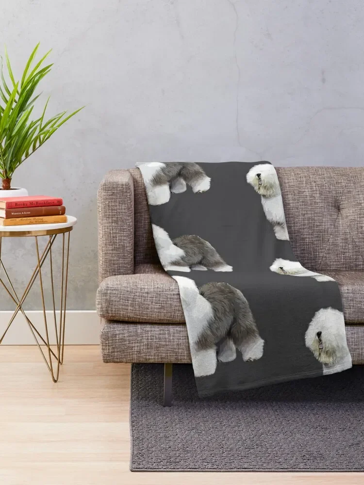 �õ� �ױ۸��� �絶 ��Ƽ ���ο� ���, ���Ÿ� ���� �̺�, ���Ÿ� ����Ʈ ���