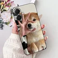 763