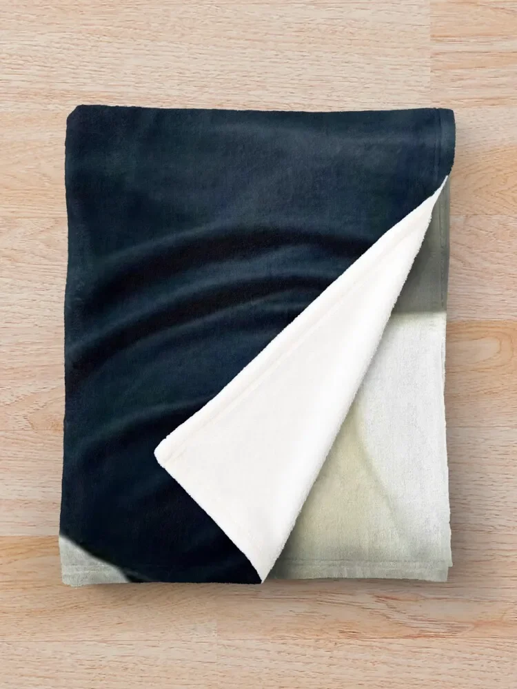 Adam ����� ���� ���, �ε巯�� �÷��� ���� ���� ���, ���� �� ���� ���